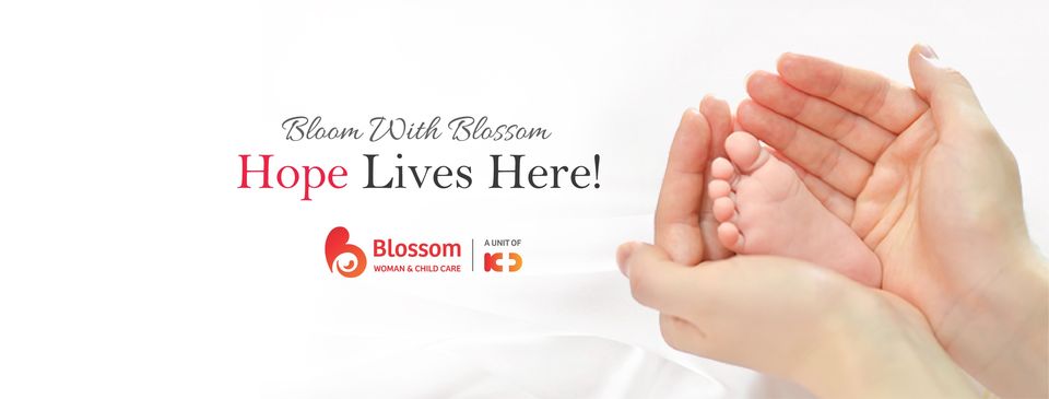 kdblossomcare